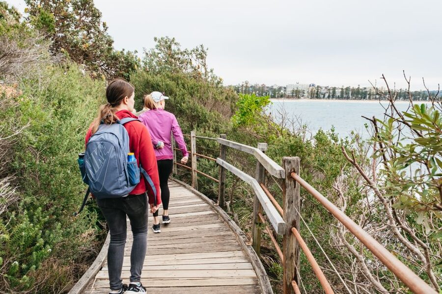 Sydney: Manly and Shelly Beach Snorkeling Tour - One hour in Cabbage Tree Bay Aquatic Reserve
