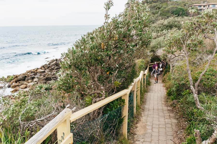 Sydney: Manly and Shelly Beach Snorkeling Tour - The guides turn wildlife into a real lesson