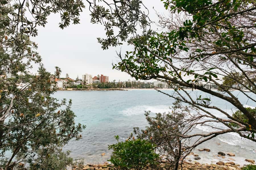 Sydney: Manly and Shelly Beach Snorkeling Tour - Is $77 a fair price for 150 minutes?
