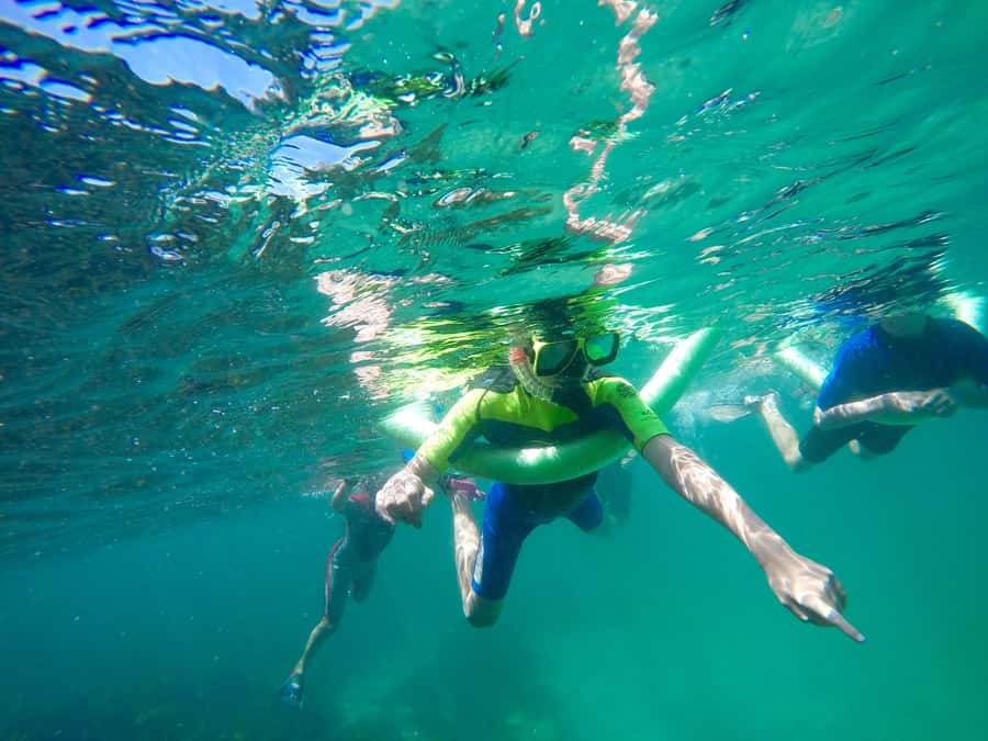 Sydney: Manly and Shelly Beach Snorkeling Tour - The 30-minute headland walk before the water