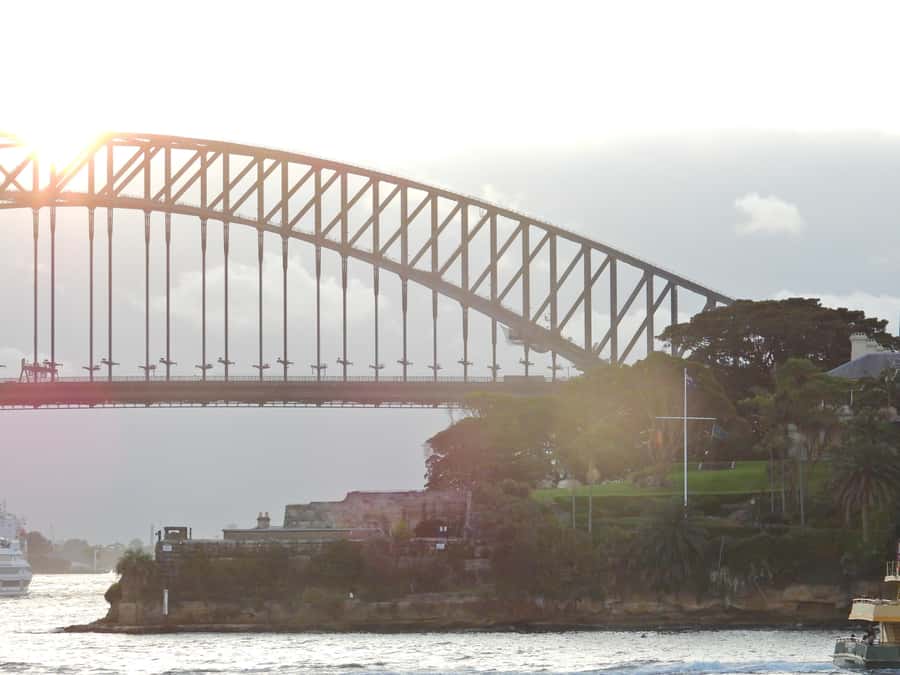 Sydney: Morning or Afternoon Harbour Sightseeing Cruise - Morning or afternoon: which departure suits you?