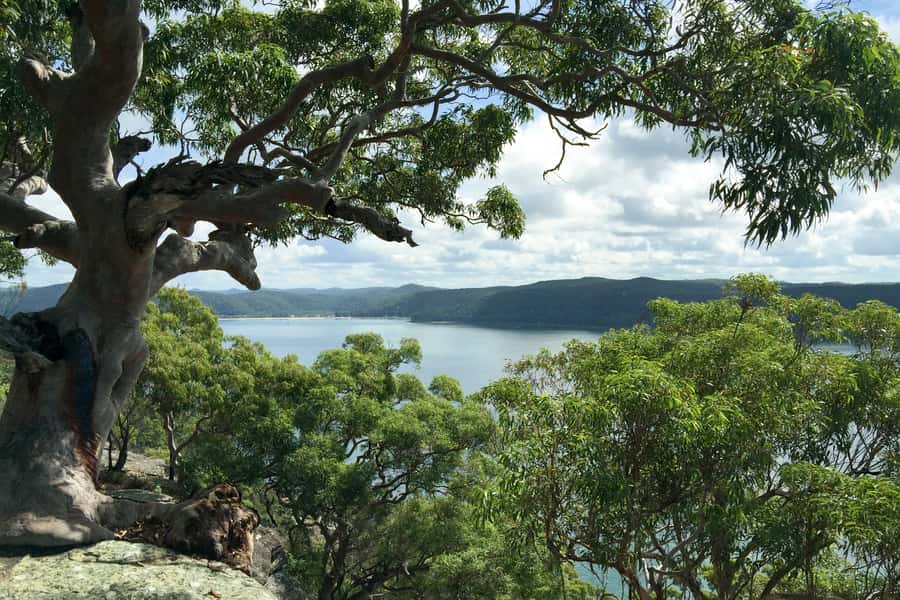 Sydney: Northern Beaches and Ku-ring-gai National Park Tour - Key points to know before booking