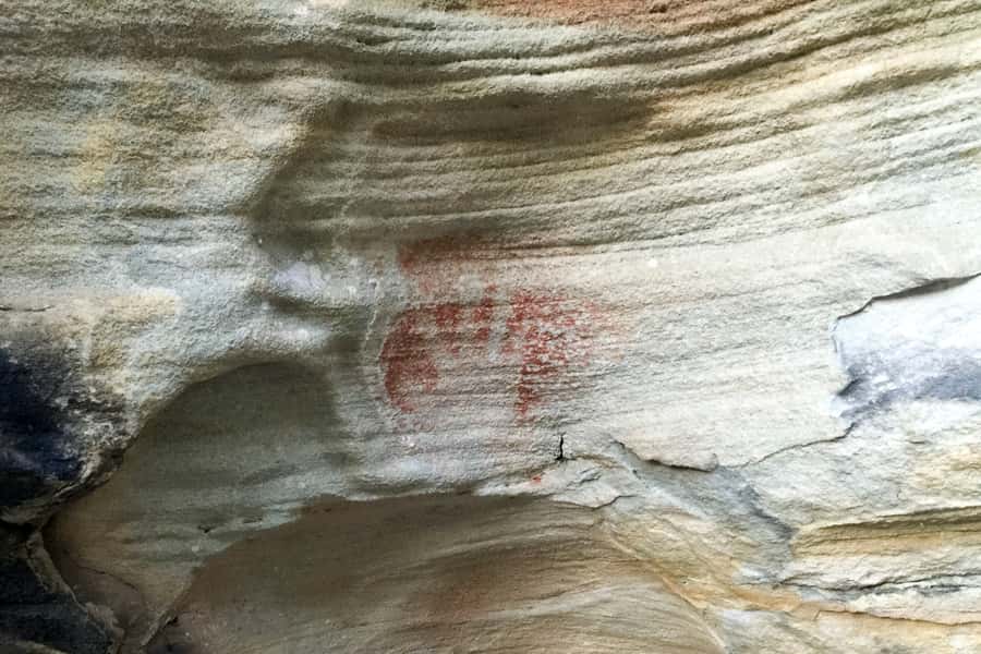 Sydney: Northern Beaches and Ku-ring-gai National Park Tour - The guide can shape the feel of the day