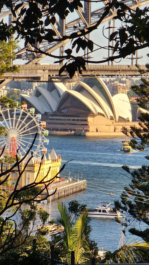 Sydney: Opera & Harbour Bridge Small-Group Kayak Tour - The first 15 minutes: finding your rhythm