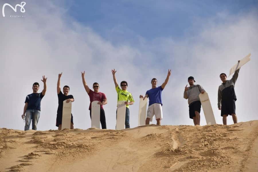 Sydney: Port Stephens Day Trip with Dolphin Cruise or Hike - Should you book it?