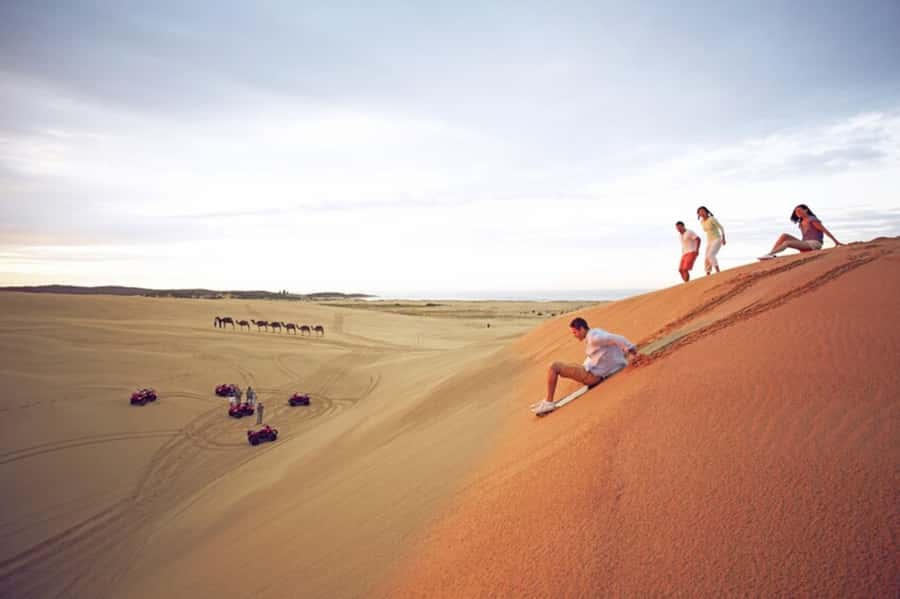 Sydney: Port Stephens Dolphin Cruise & Sandboarding Day Trip - Why this Port Stephens day trip works