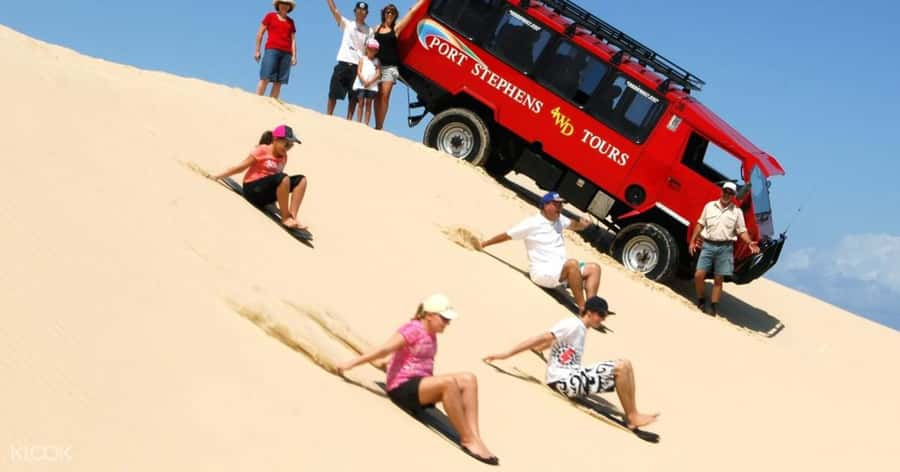 Sydney: Port Stephens Dolphin Cruise & Sandboarding Day Trip - Lunch with the day’s first wildlife stop behind you