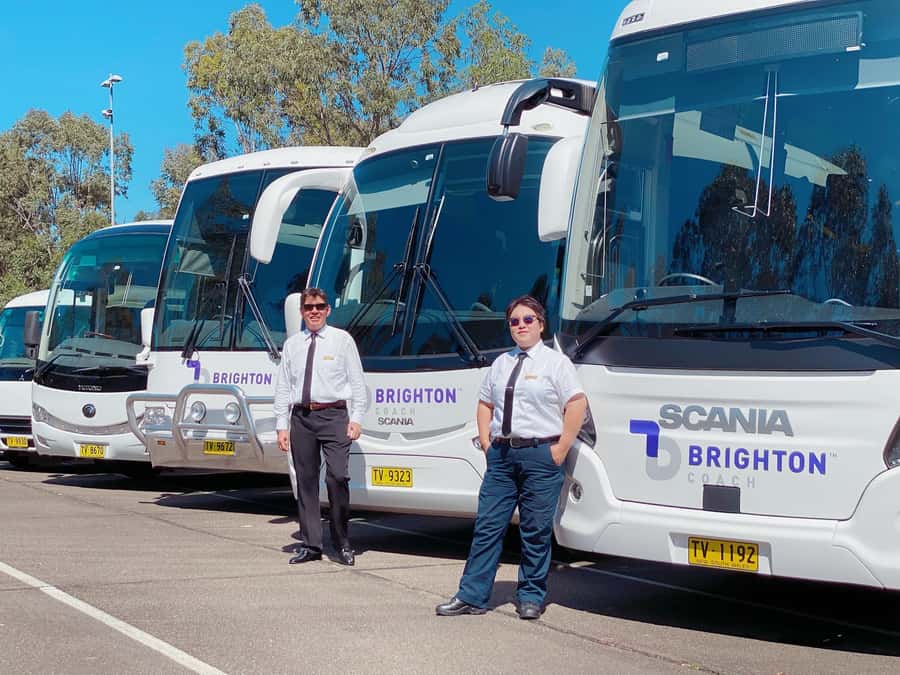 Sydney: Port Stephens Dolphin Cruise & Sandboarding Day Trip - What $145 really includes