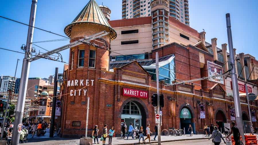 Sydney Private & Custom Walking Experience with a Local - Harbor views, the bridge, and Sydney’s big sights