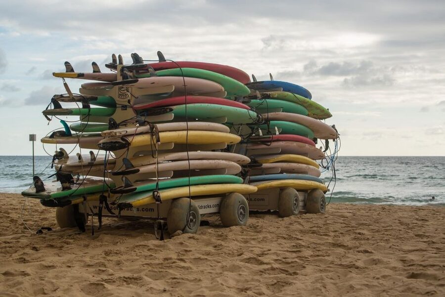 Sydney Private & Custom Walking Experience with a Local - Food, coffee, markets, and local advice