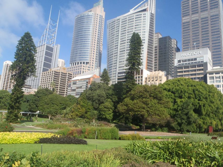 Sydney Private & Custom Walking Experience with a Local - Learning Sydney’s public transport