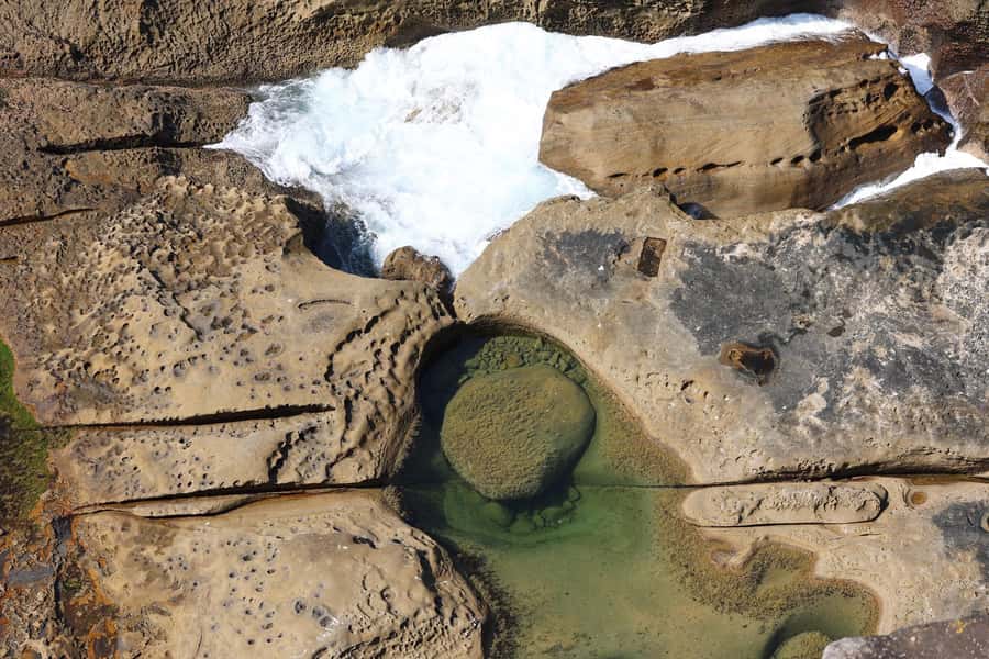 Sydney: Royal National Park private day tour - Who should book this Royal National Park tour?