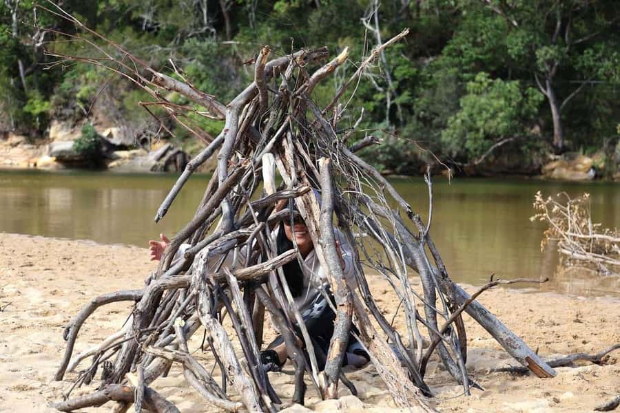 Sydney: Royal National Park private day tour - Why this private day works well from Sydney