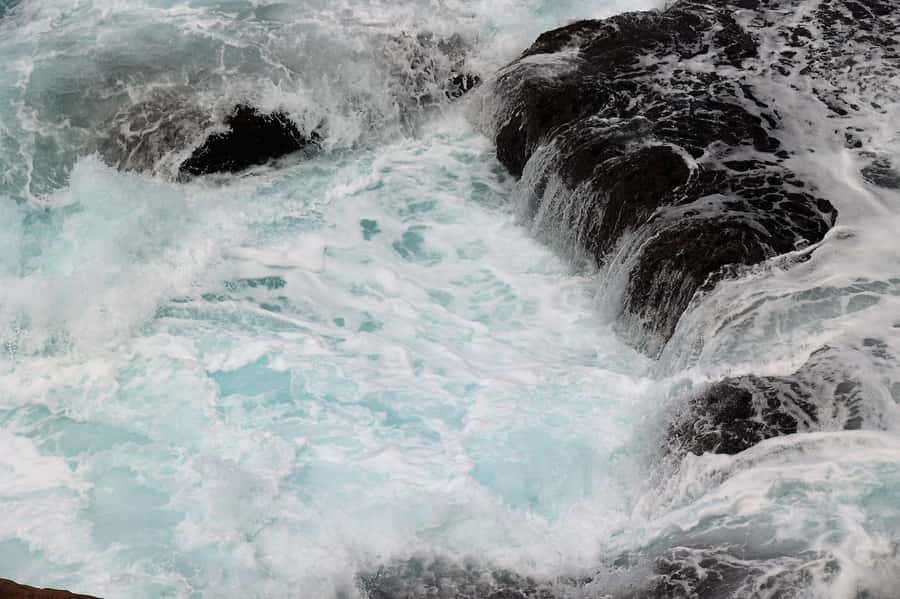 Sydney: Royal National Park private day tour - Lunch, rainforest and a change of pace