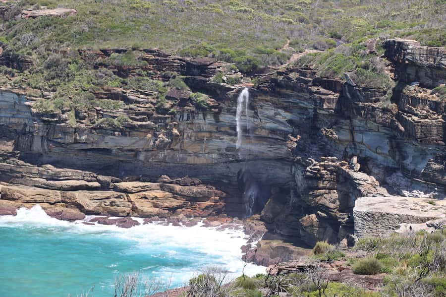 Sydney: Royal National Park private day tour - Bald Hill and Sea Cliff Bridge