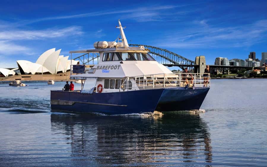Sydney: Scenic Whale Watching Cruise - Whales Guaranteed - Whale season, sightings, and the guarantee