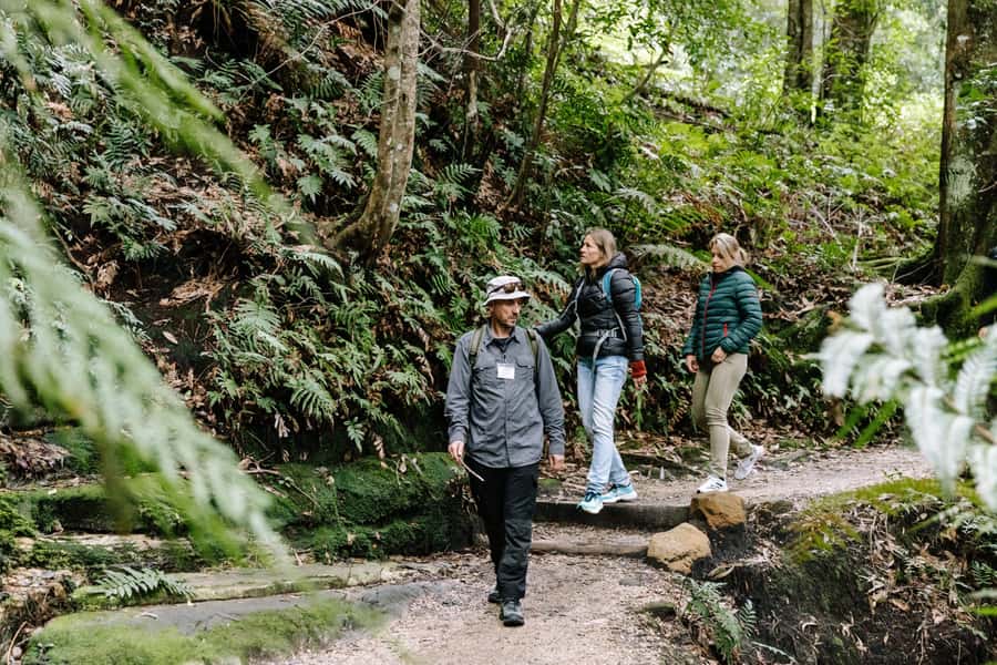 Sydney: Small Group Blue Mountains, Wildlife & Waterfalls - Quick take: what makes this day worthwhile