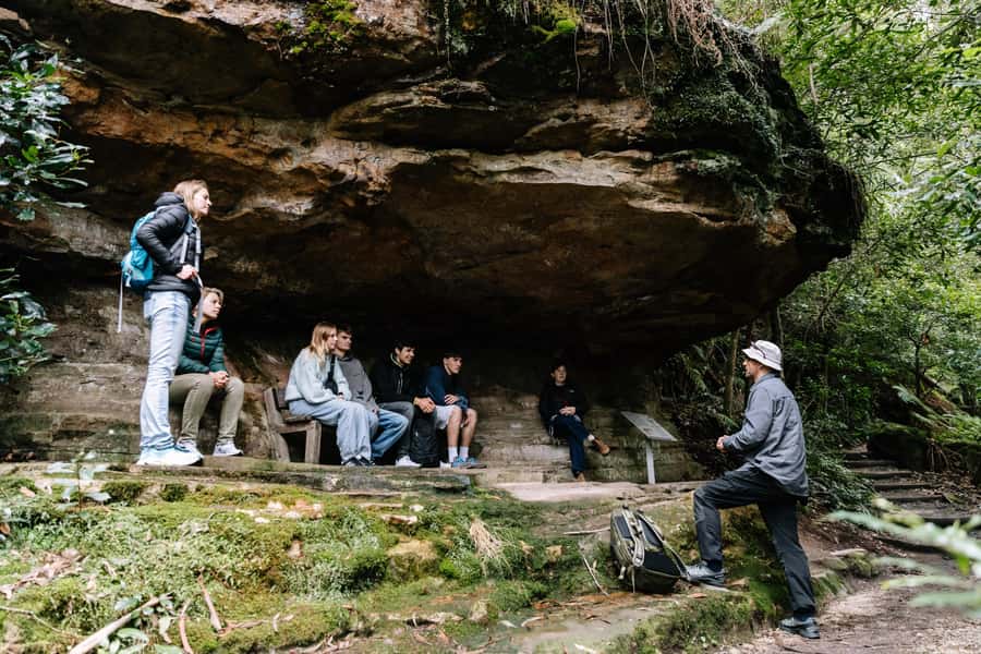 Sydney: Small Group Blue Mountains, Wildlife & Waterfalls - Who should book this Blue Mountains day trip?