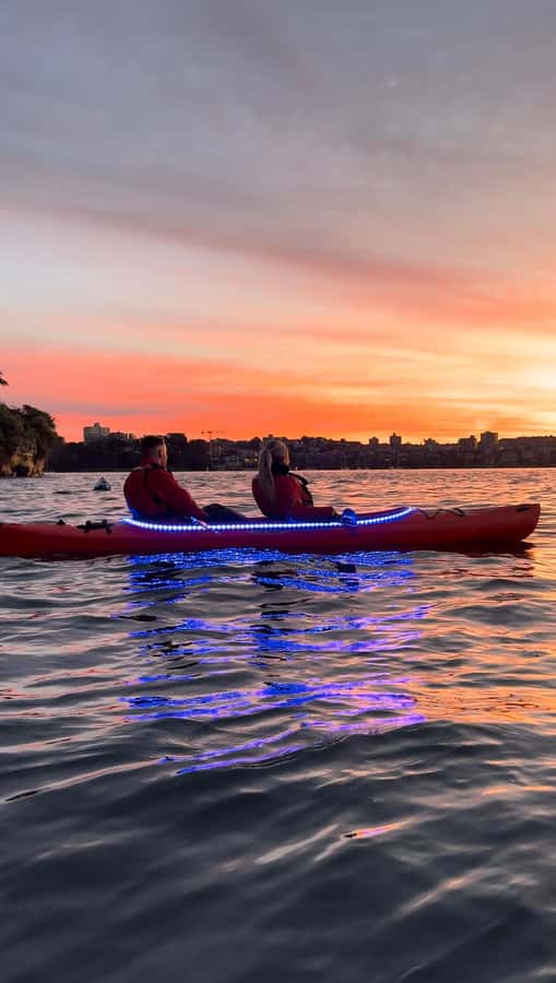 Sydney: Sunrise Kayak, Opera House & Under Harbour Bridge - Paddling Sydney Harbour for about 90 minutes