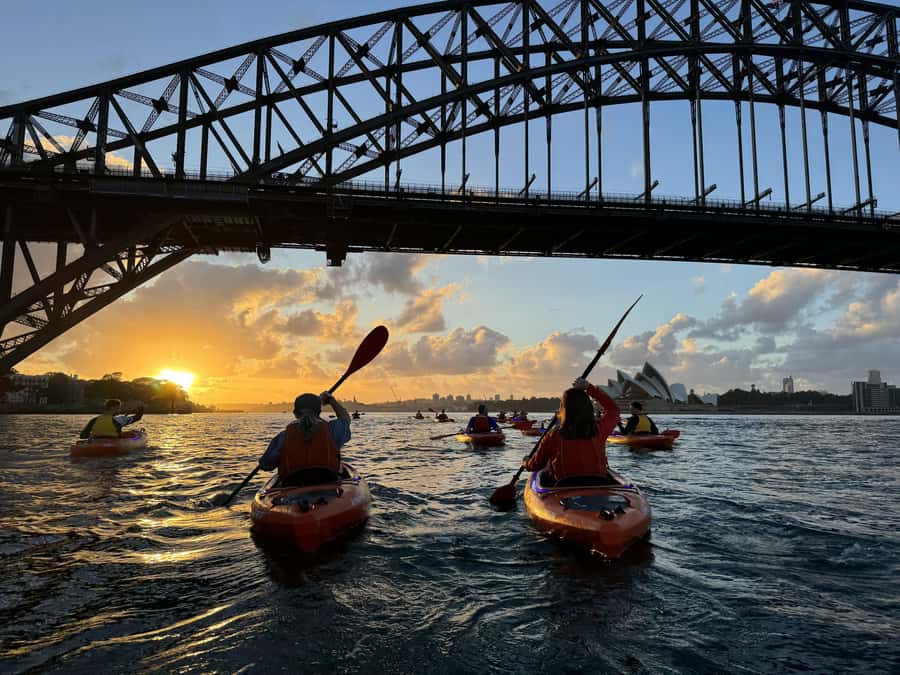 Sydney: Sunrise Kayak, Opera House & Under Harbour Bridge - Passing under the Harbour Bridge