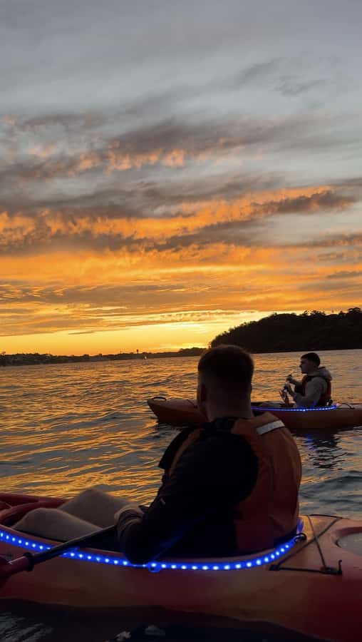 Sydney: Sunset Kayak Tour on Sydney Harbour - The $105 price and what you receive