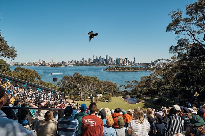 Sydney Taronga Zoo General Entry Ticket - Harbour views, shade, food, and the physical side