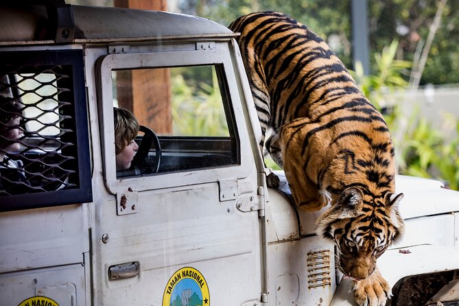 Sydney Taronga Zoo General Entry Ticket - Is the $39.45 ticket good value?