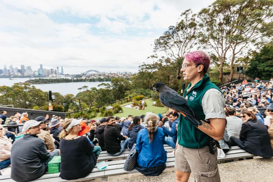 Sydney: Taronga Zoo Tickets - Planning a sensible route through nine trails