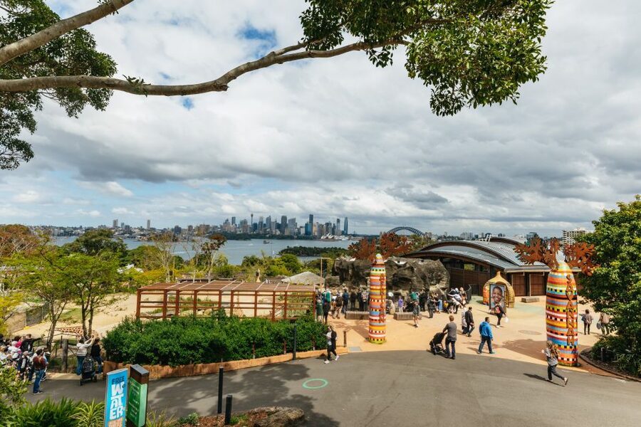 Sydney: Taronga Zoo Tickets - Keeper talks, seals, and free-flying birds