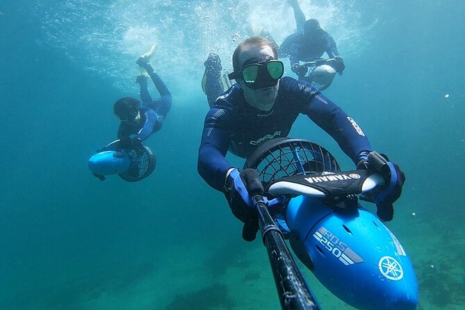 sydney underwater scooter tours - Key points for deciding quickly