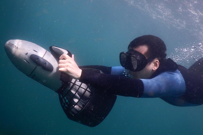sydney underwater scooter tours - What makes Clovelly useful for this format