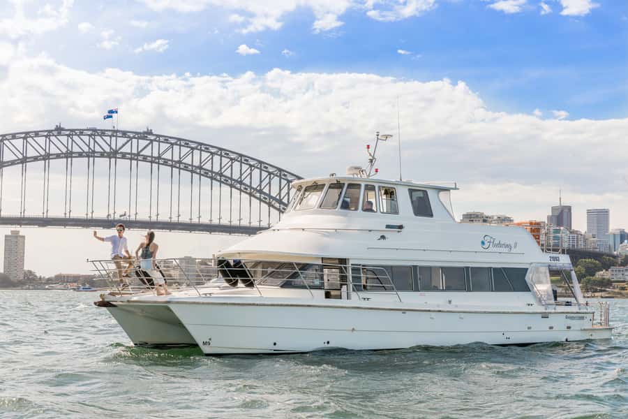 Sydney: Vivid Harbour Cruise with Canapes - Key points at a glance