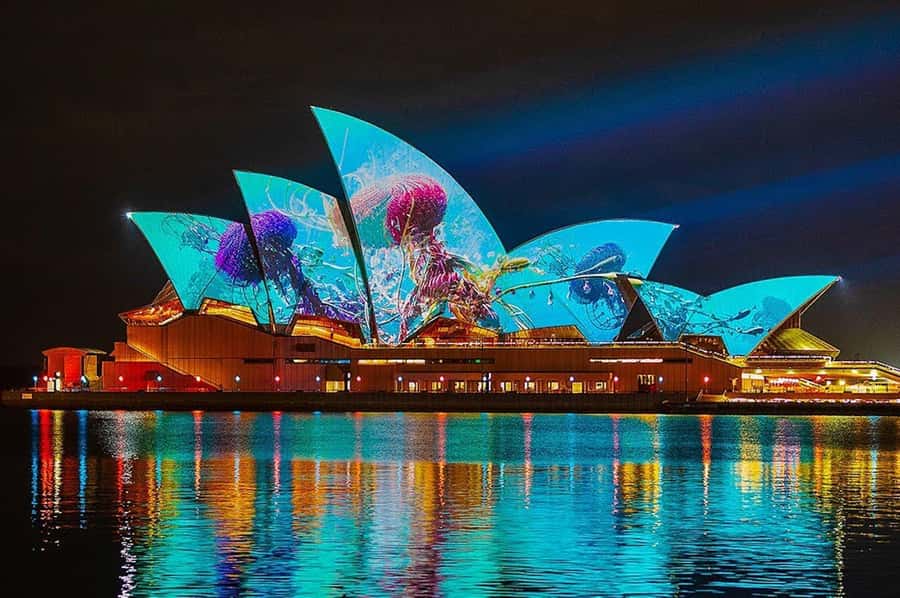 Sydney: Vivid Harbour Cruise with Canapes - The 90-Minute Route Around Sydney Harbour