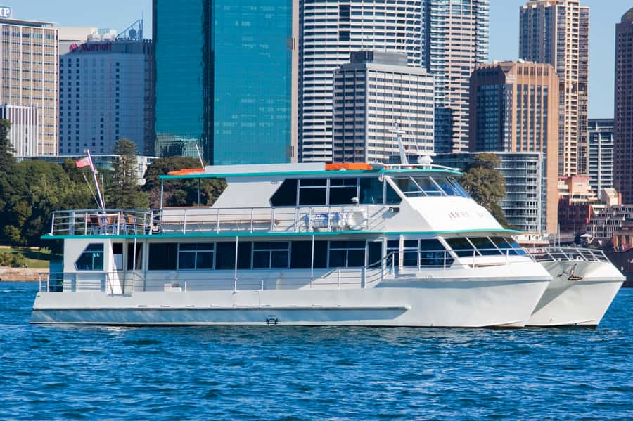 Sydney Whale Watching Cruise with Breakfast or Lunch - What the whale watching actually feels like