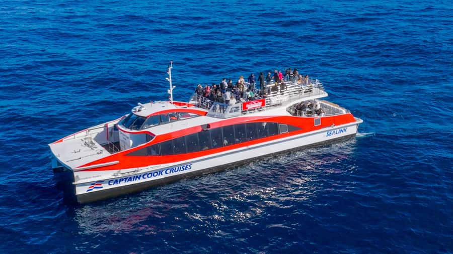Sydney: Whale Watching & Wildlife Cruise - Choosing between the lounge and the outdoor decks