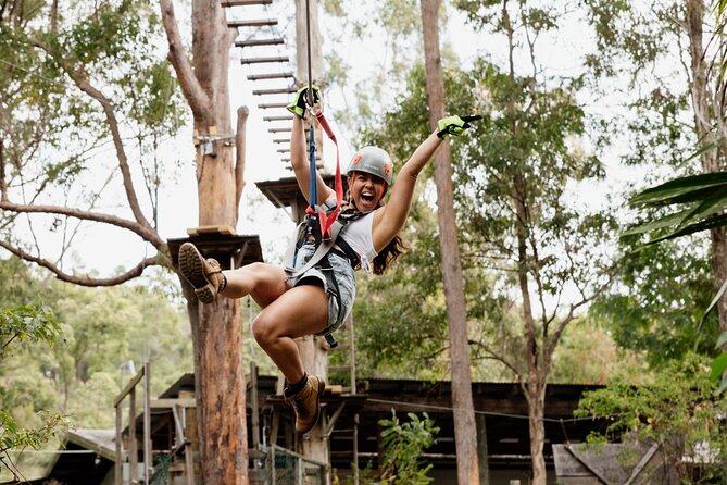 Tamborine Mountain TreeTop Challenge Adventure Park - Eight courses across Tamborine Mountain bushland
