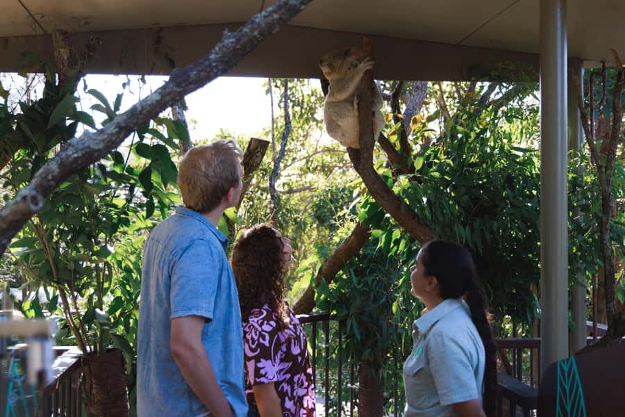 Taronga Zoo Sydney Wild Australia Experience - Seeing the kitchen behind the animal care