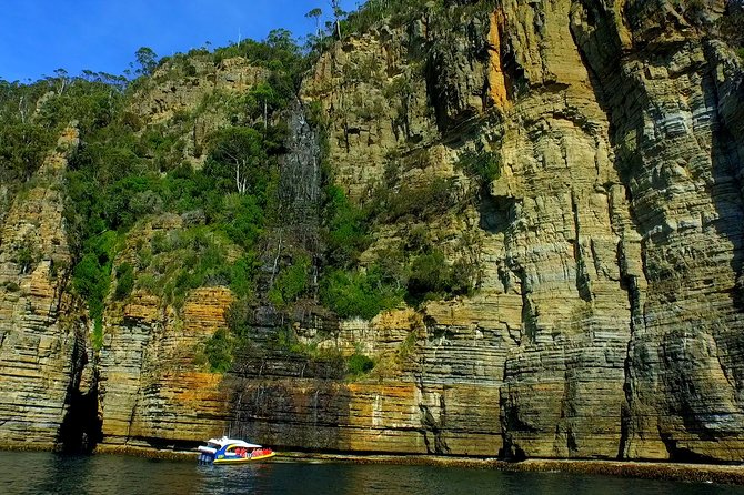 Tasman Island Cruises and Port Arthur Historic Site Day Tour from Hobart - Wildlife sightings and the reality of open water