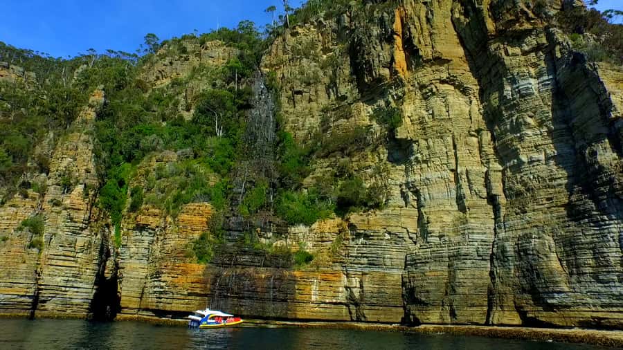 Tasman Peninsula Day Trip with Cruise & Devils from Hobart - Wildlife Along The Tasman Coast