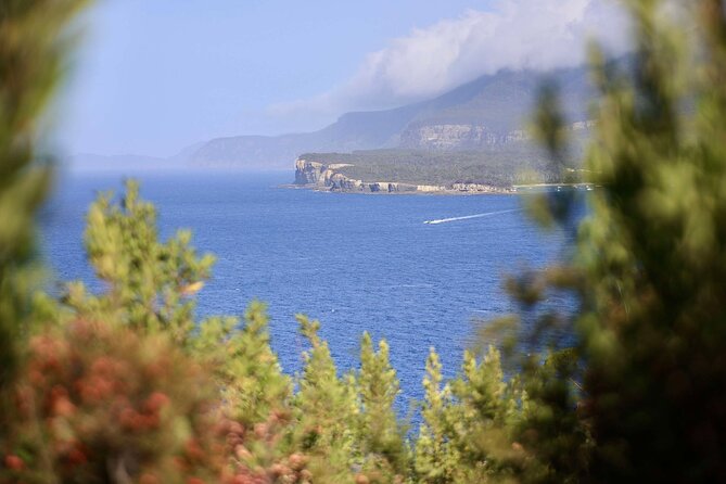 Tasman Peninsula Small-Group Guided Tour From Hobart - Why this route works for a day from Hobart