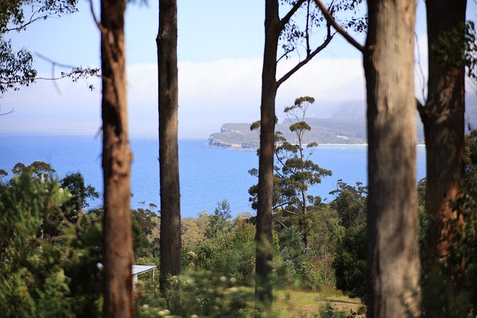 Tasman Peninsula Small-Group Guided Tour From Hobart - Remarkable Cave and Maingon Bay Lookout