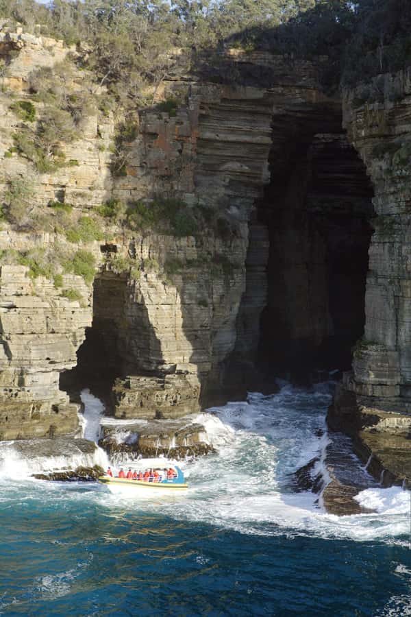 Tasman Peninsula Tour, Cruise & Port Arthur Historic Site - Three hours beneath the cliffs and sea caves