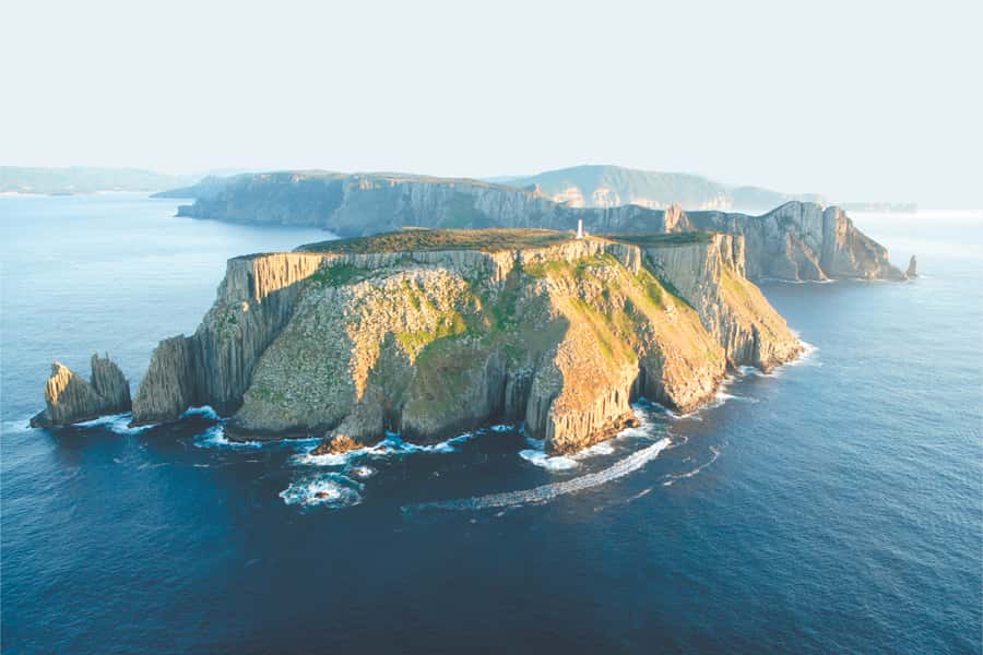 Tasman Peninsula Tour, Cruise & Port Arthur Historic Site - Wildlife sightings depend on luck, timing, and patience