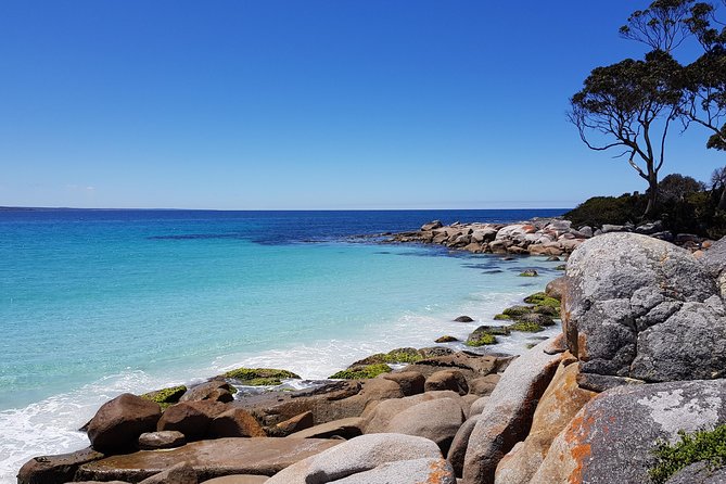 Tasmania 5 Day East Coast Tour - A five-day route from Hobart to Launceston