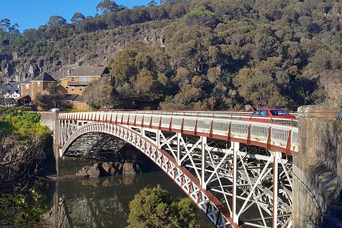Tasmania 5 Day East Coast Tour - Day four: wildlife, the Bay of Fires, and local produce