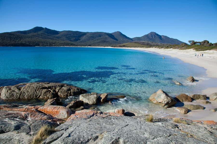 Tasmania: Wilderness and Wildlife Guided 6-Day Tour - Key points to know before booking