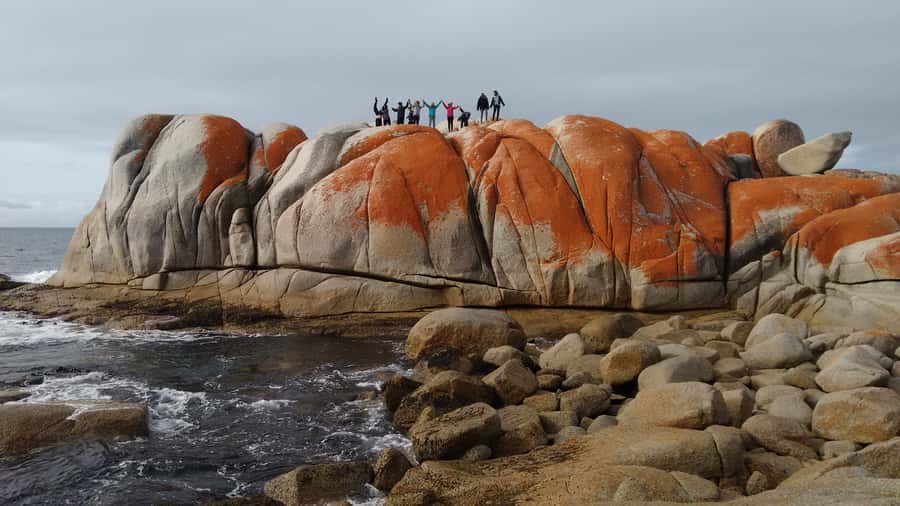 Tasmania: Wilderness and Wildlife Guided 6-Day Tour - Why this six-day route works