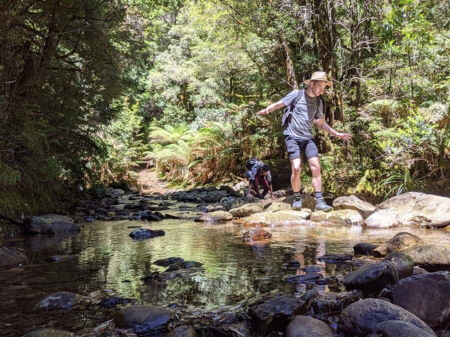 Tasmania: Wilderness and Wildlife Guided 6-Day Tour - Day 5: Wineglass Bay, Mt Amos, and Cape Tourville