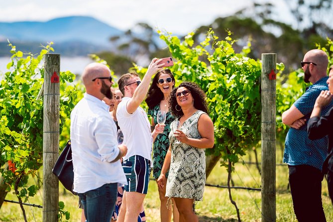 Tasmanian Premium Wine Tour with Tasmanian Cheese Platter - Derwent Estate and broader Tasmanian tastings
