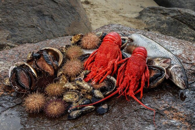 Tasmanian Seafood Gourmet Full-Day Cruise Including Lunch - The essential details at a glance